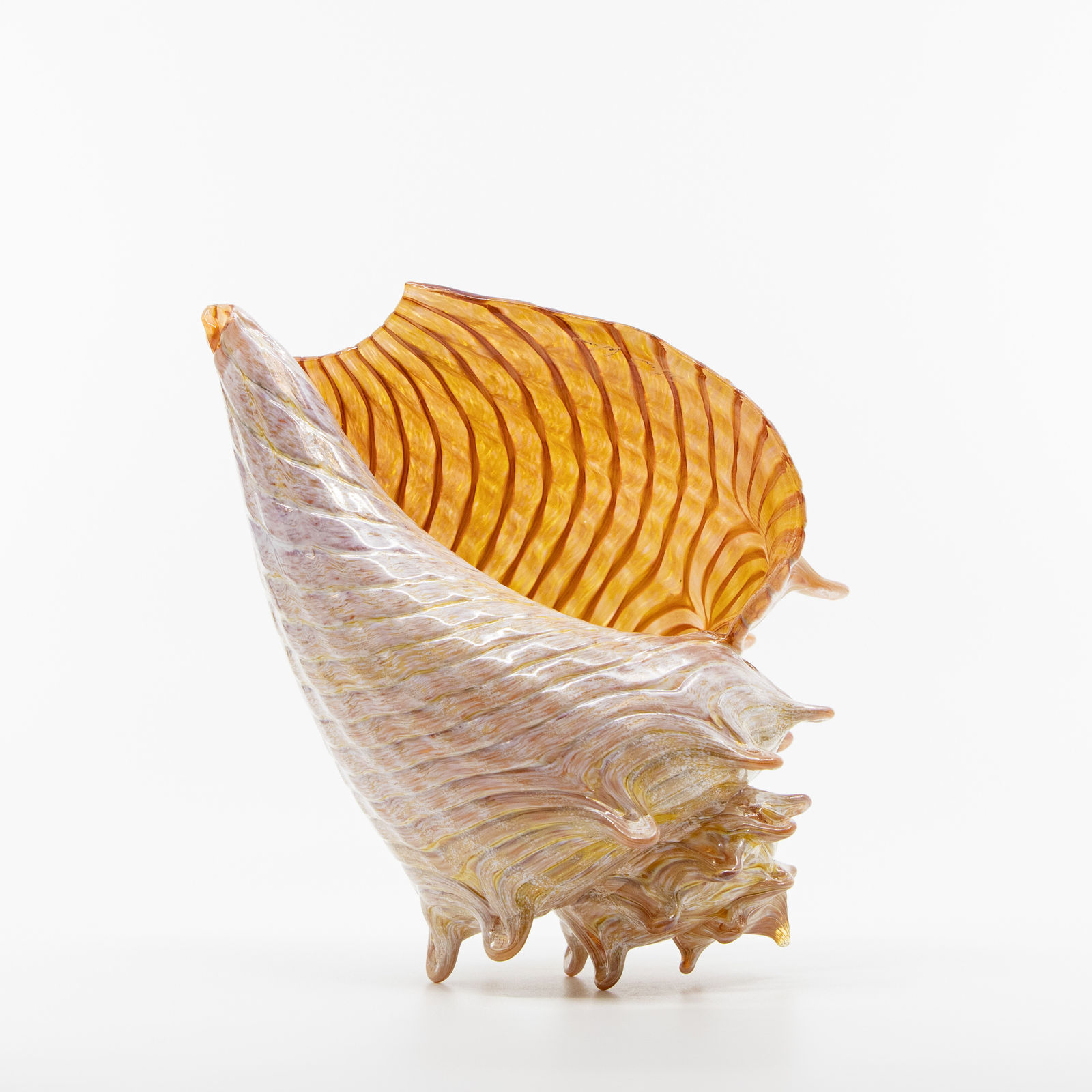 Treg Silkwood, Medium Conch - Gold + Orange, 2024