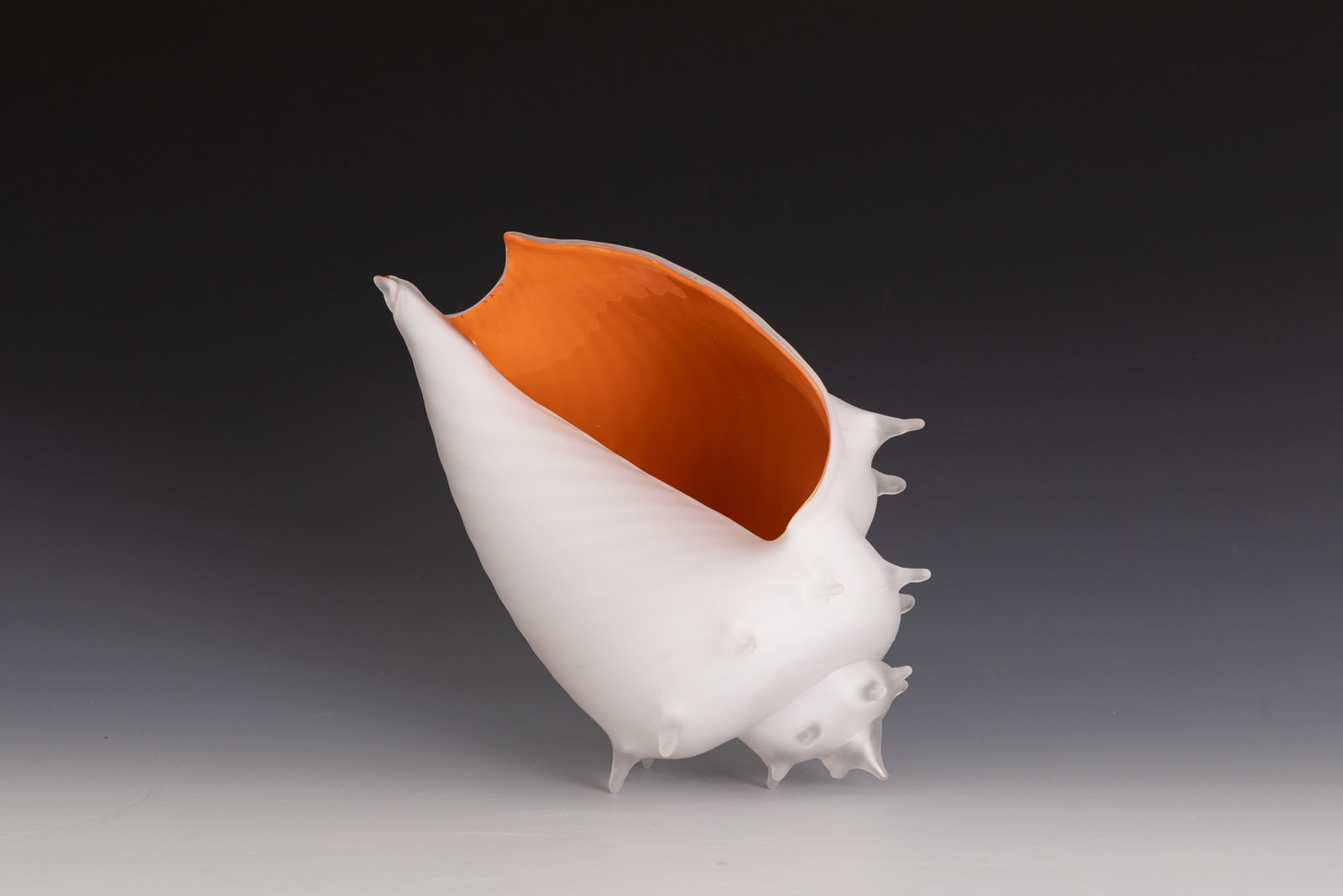 Treg Silkwood, Large Conch - Matte White + Orange, 2024