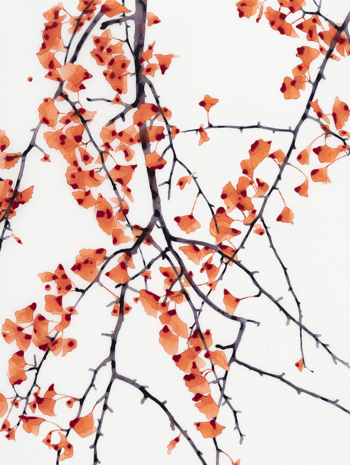 Jackie Battenfield, Free Fall cs1, 2020