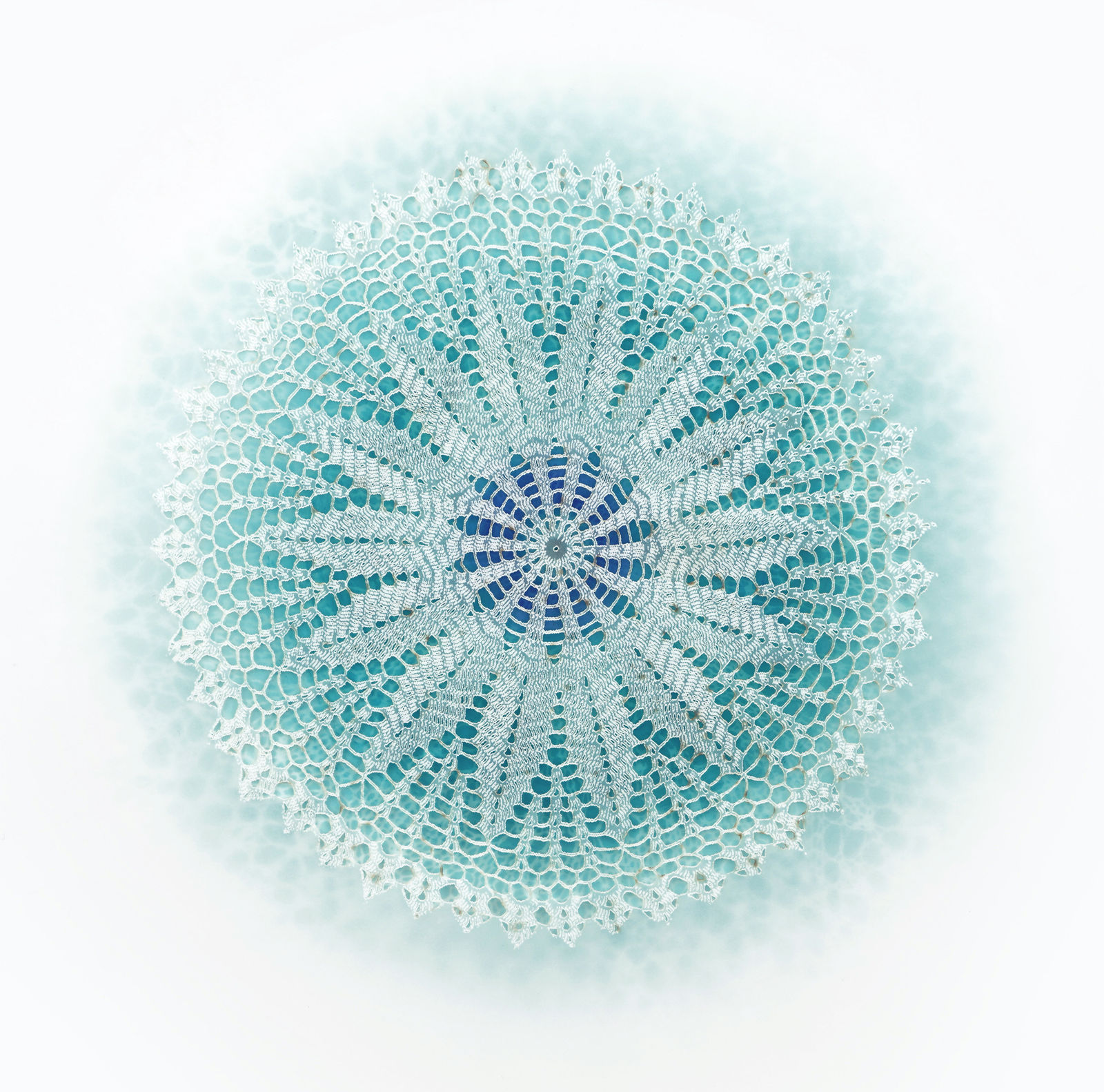 Amy Sands, Astra VII, 2024