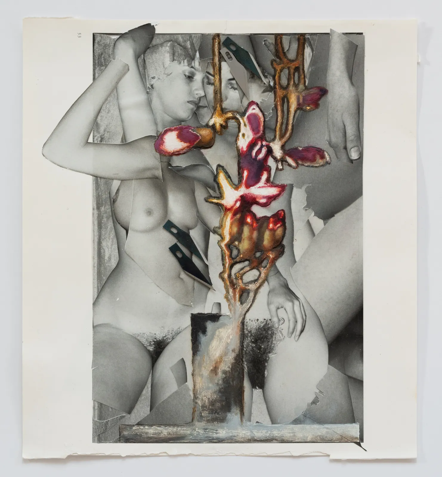 Justine Kurland, Magnolias and Damsel Fly Nymphs, from the series Bad Hand, 2025-2026