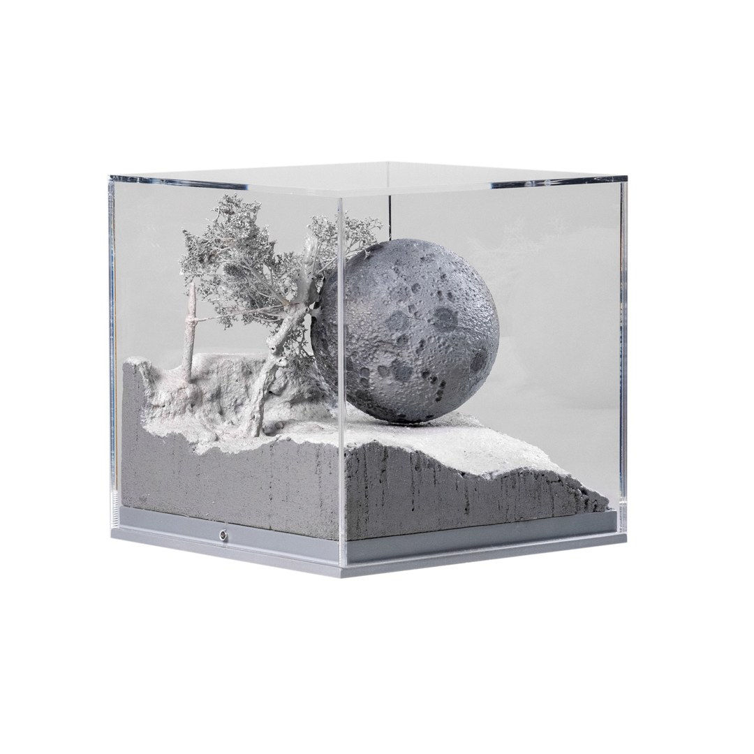 Saad Qureshi, Rebel Moon, 2024