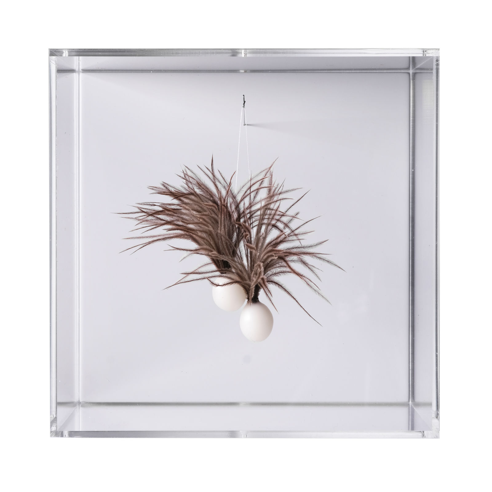 Susie MacMurray, Duo, 2020