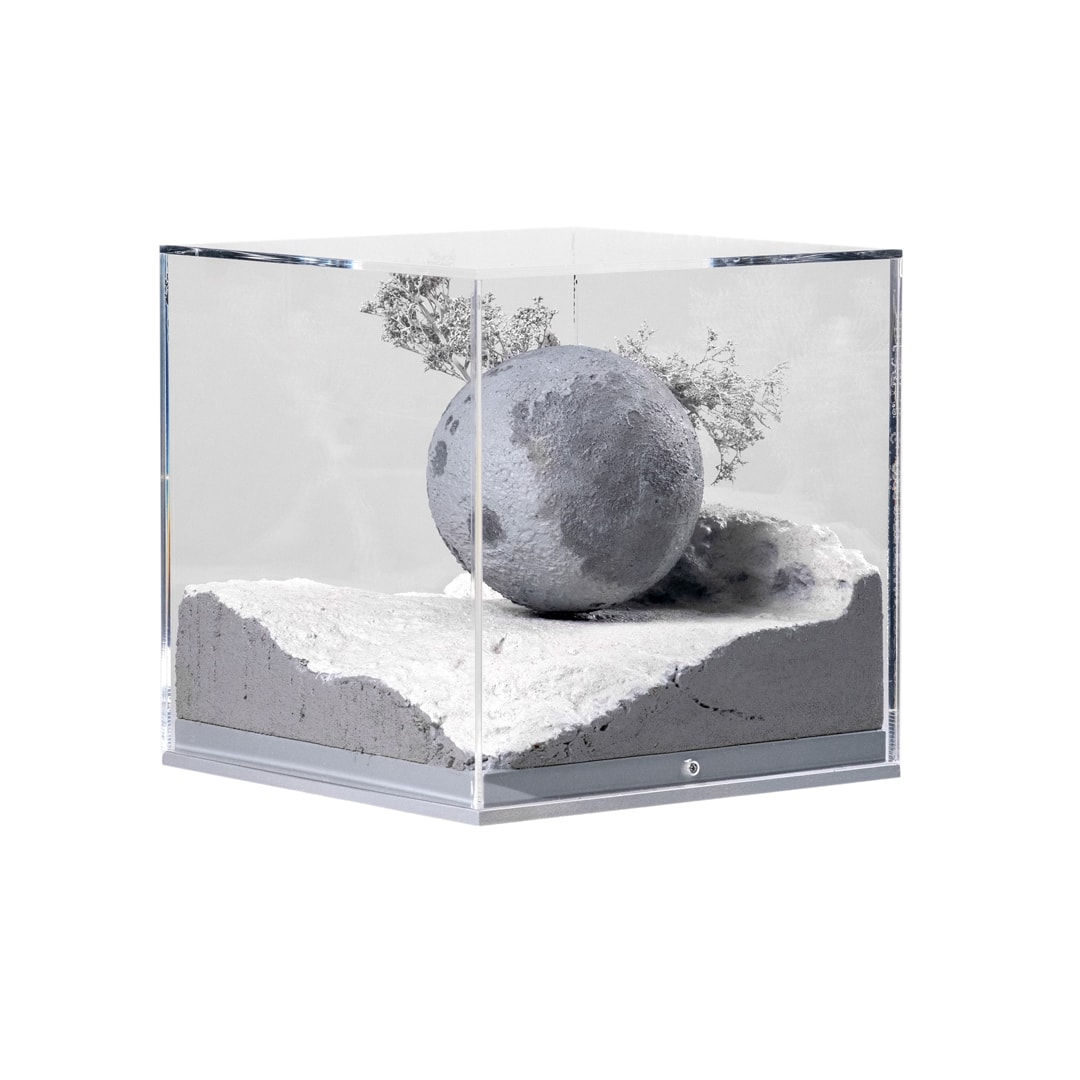 Saad Qureshi, Rebel Moon, 2024