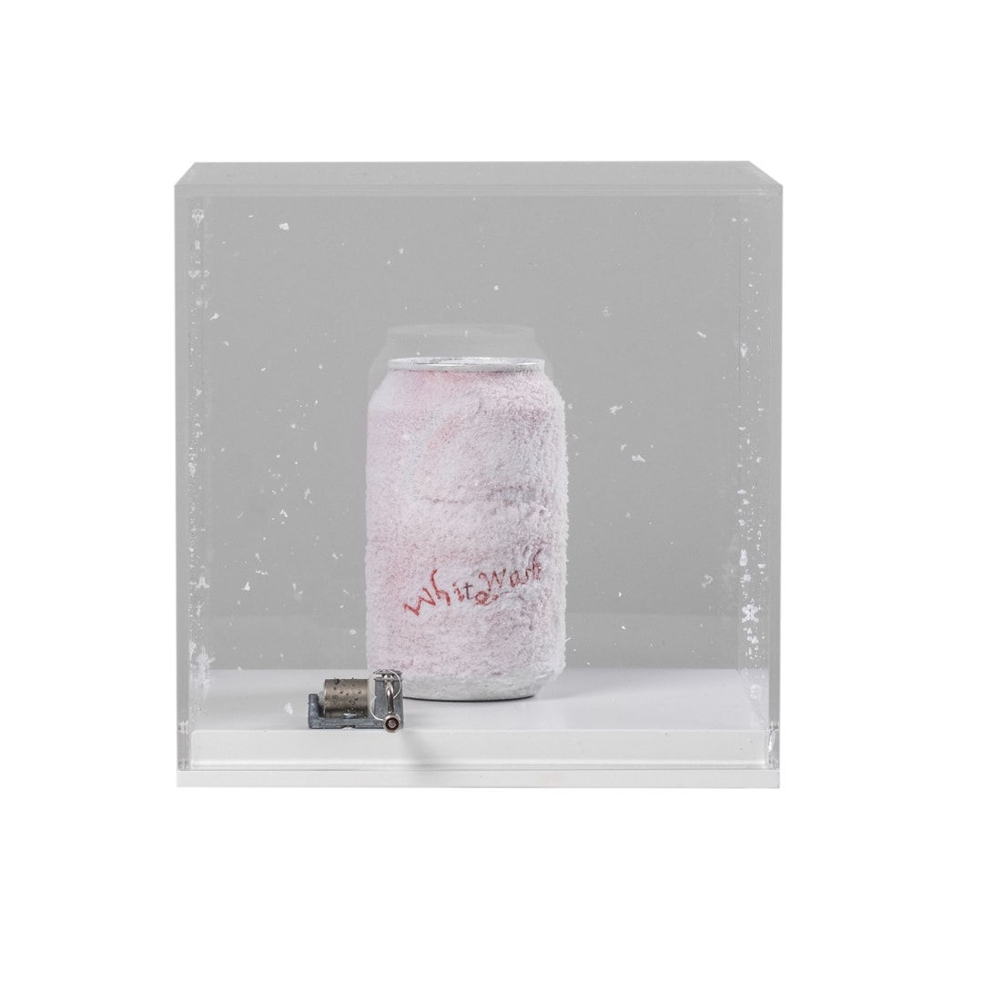 Anna Boggon, Whitewash, 2024