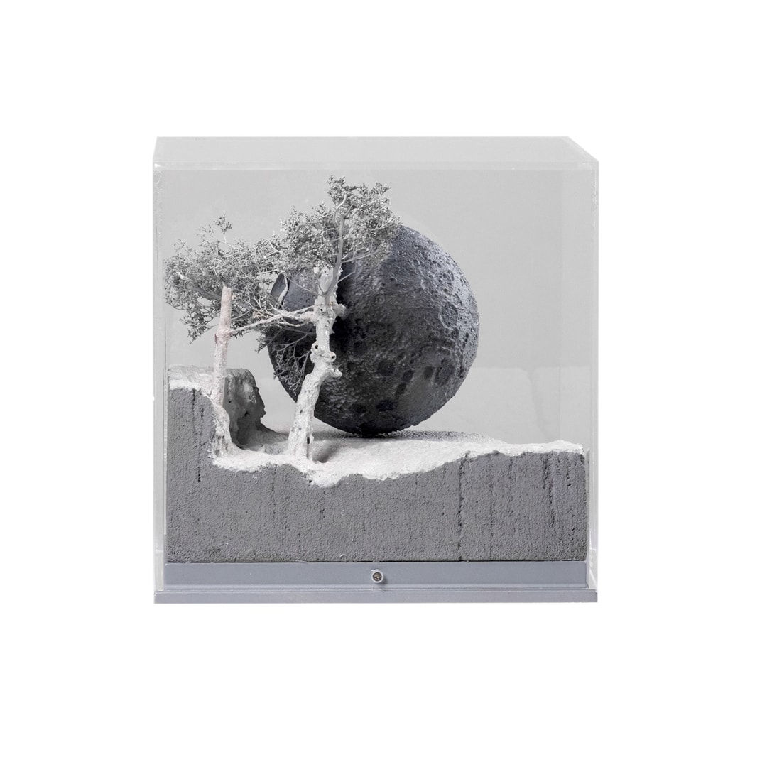 Saad Qureshi, Rebel Moon, 2024