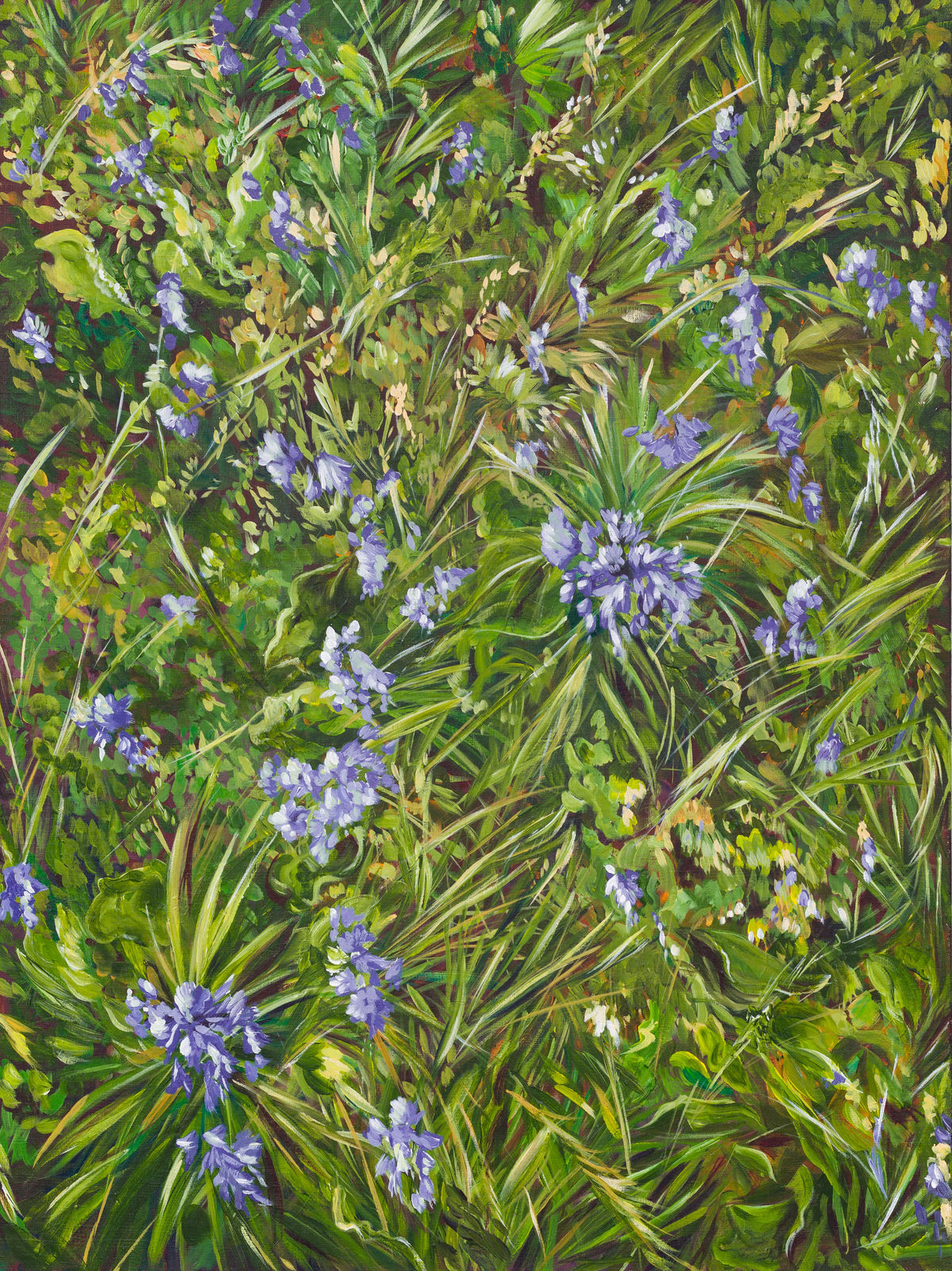 Daisy McMullan, Small Paradise , 2024