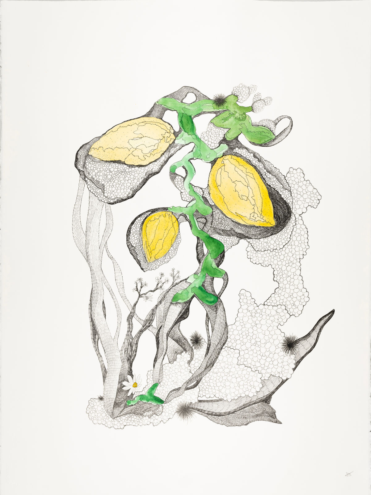 Christina Benz, Lorem ipsum No.14, 2019