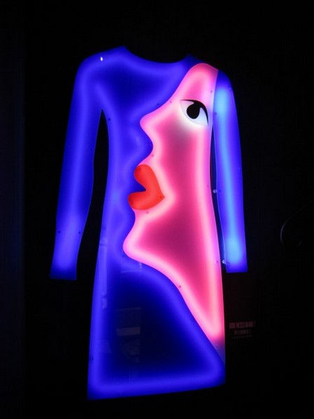 Nicolas Saint Grégoire, Wesselmann Visage, 2011