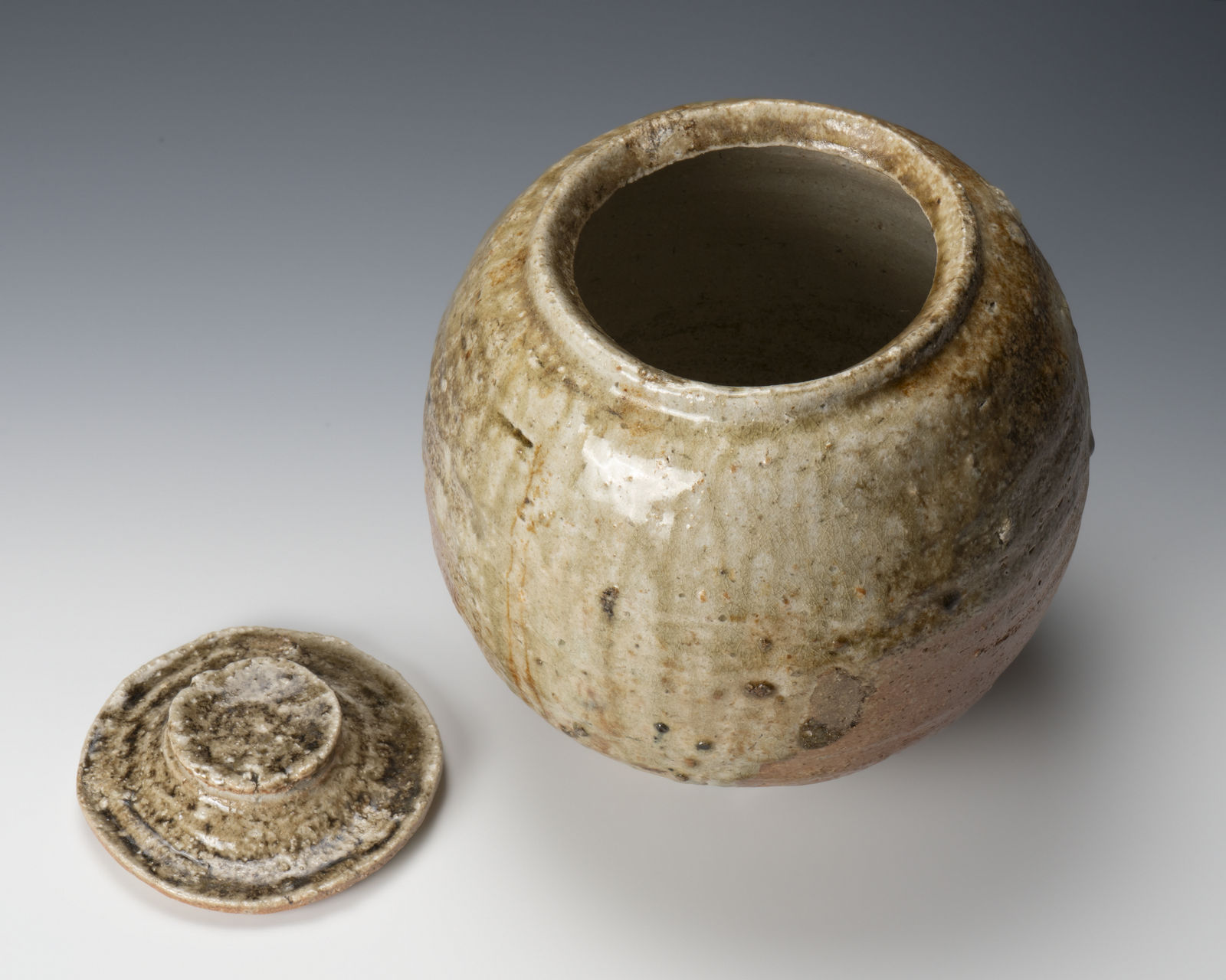 Sugimoto Sadamitsu 杉本貞光, Shigaraki water jar