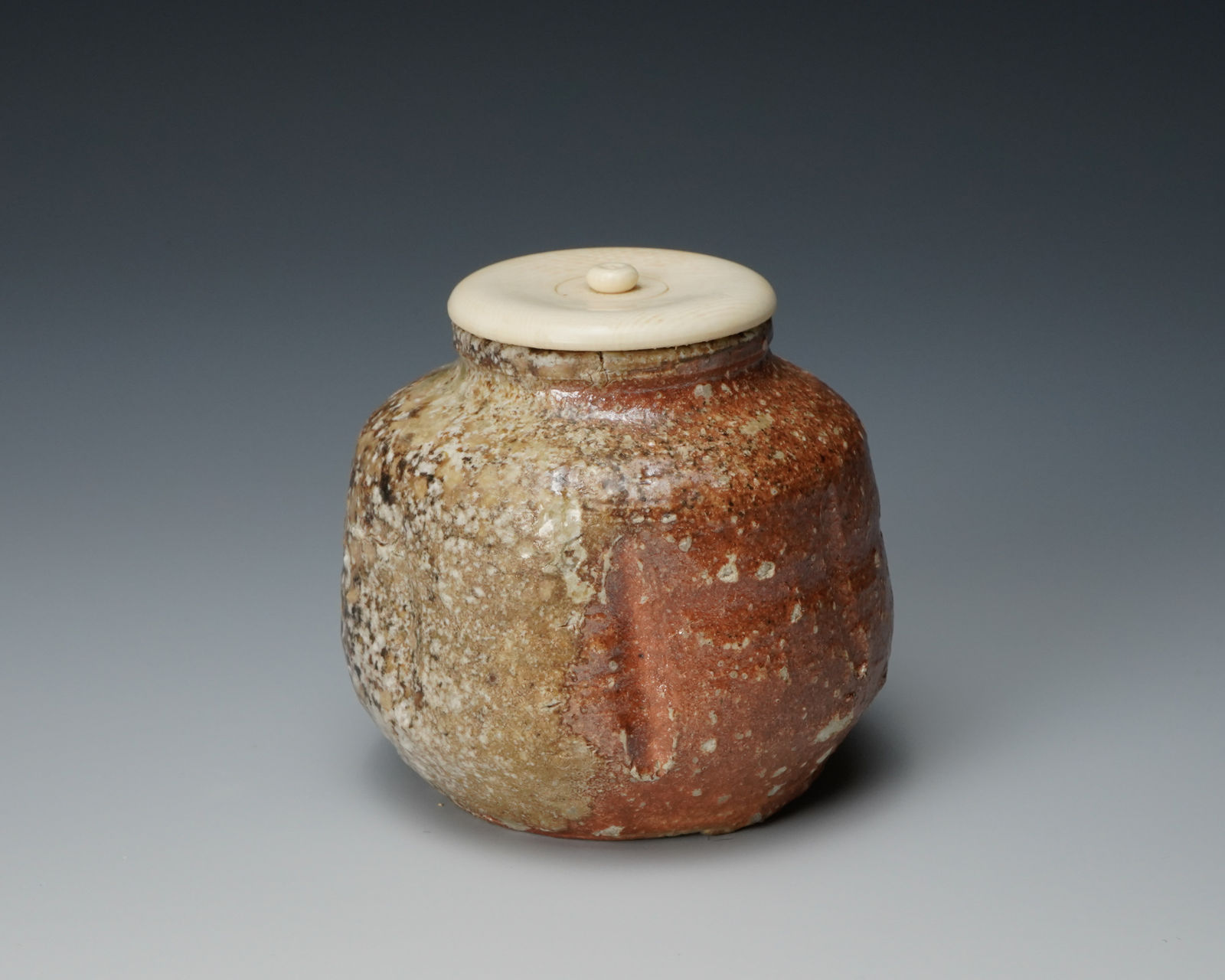 Takahashi Rakusai IV 四代高橋楽斎, Shigaraki Tea Caddy 信楽茶入