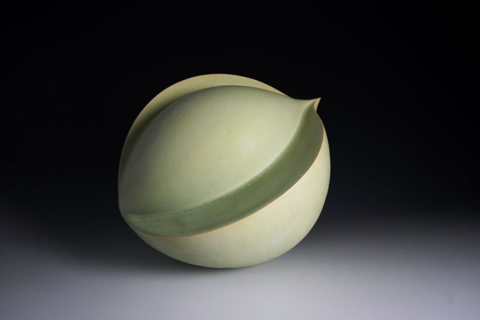 Suhama Tomoko 須浜智子, Onion タマネギ, 2018