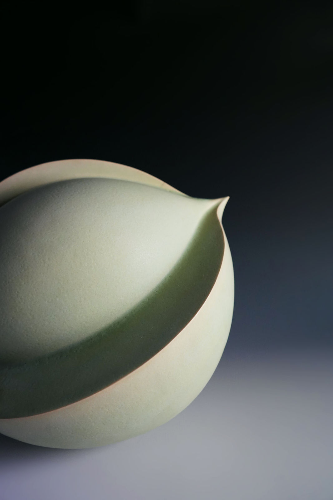 Suhama Tomoko 須浜智子, Onion タマネギ, 2018