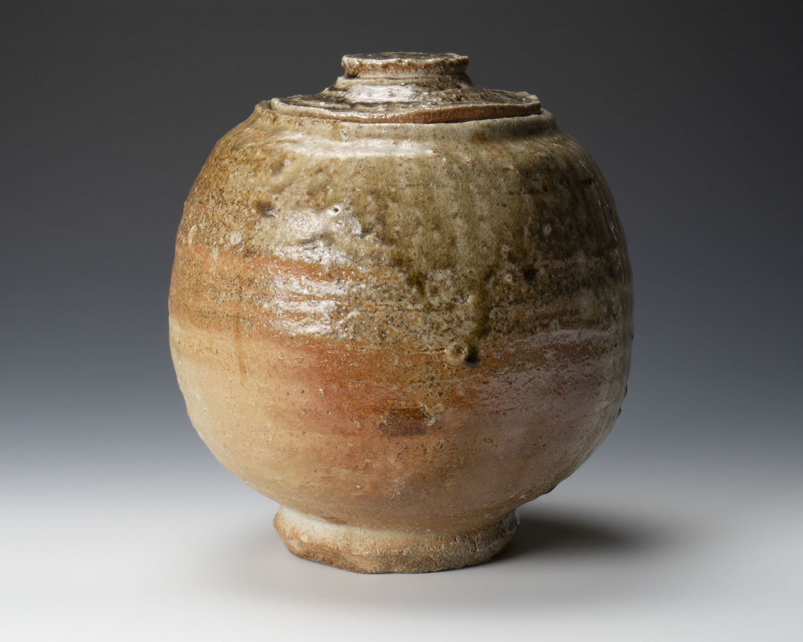 Sugimoto Sadamitsu 杉本貞光, Shigaraki water jar