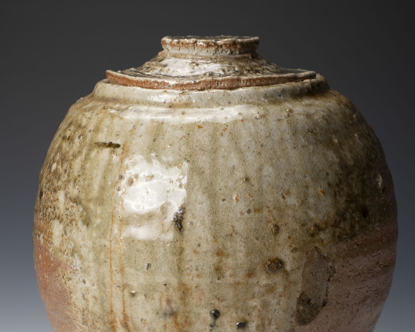 Sugimoto Sadamitsu 杉本貞光, Shigaraki water jar