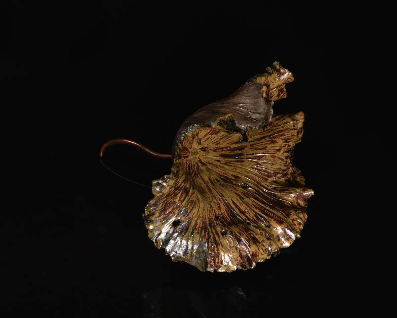 Shingu Sayaka 新宮さやか, No.50 Lotus leaf 枯蓮, 2023