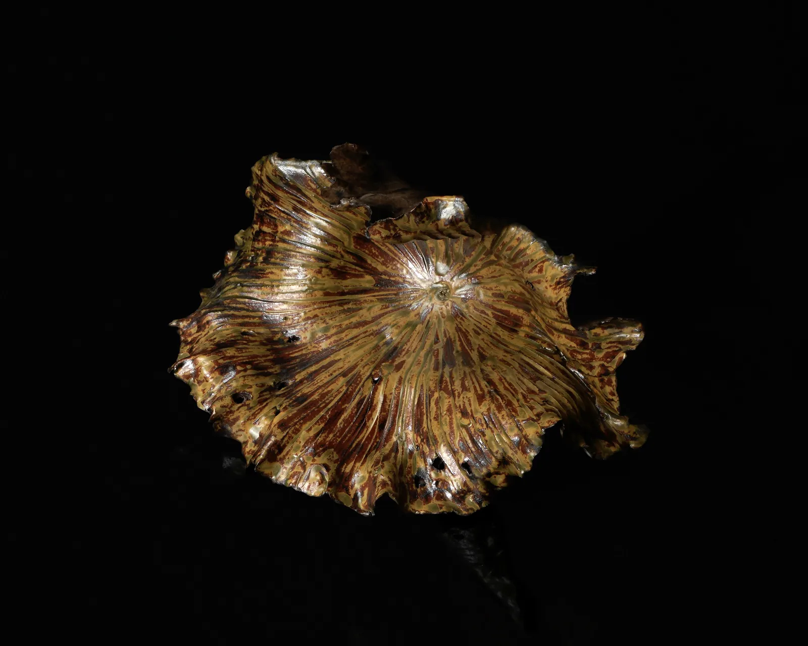 Shingu Sayaka 新宮さやか, No.50 Lotus leaf 枯蓮, 2023