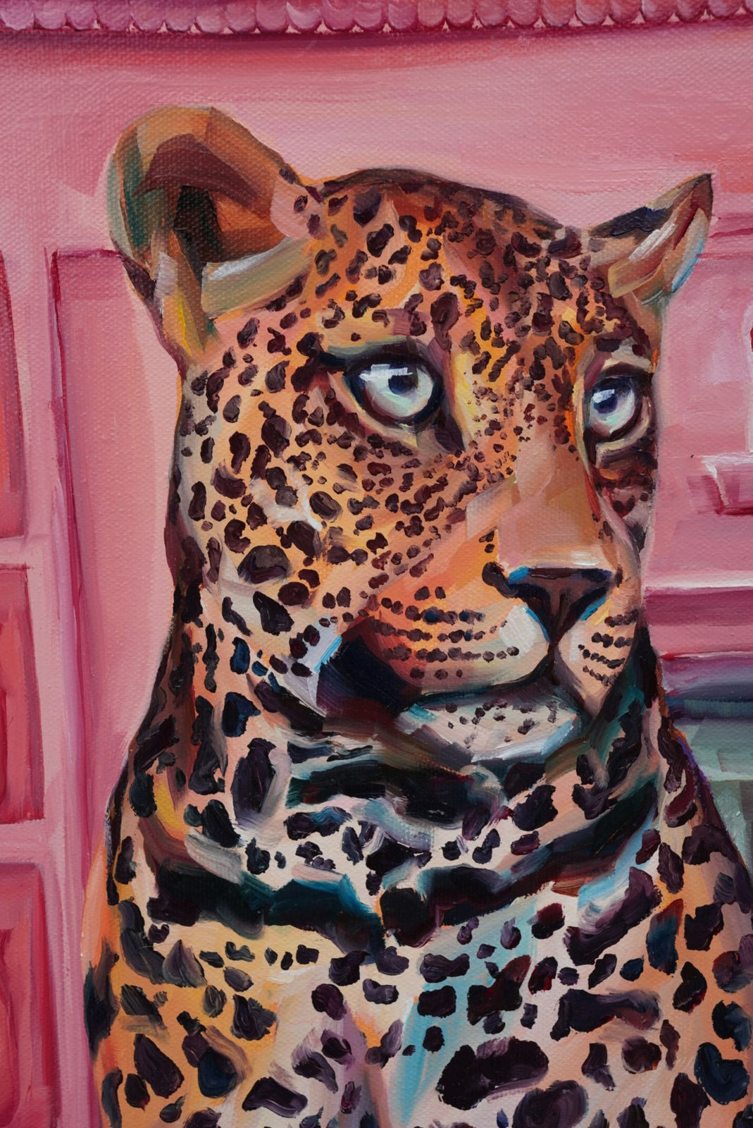 Leopard in Jaipur , 2025