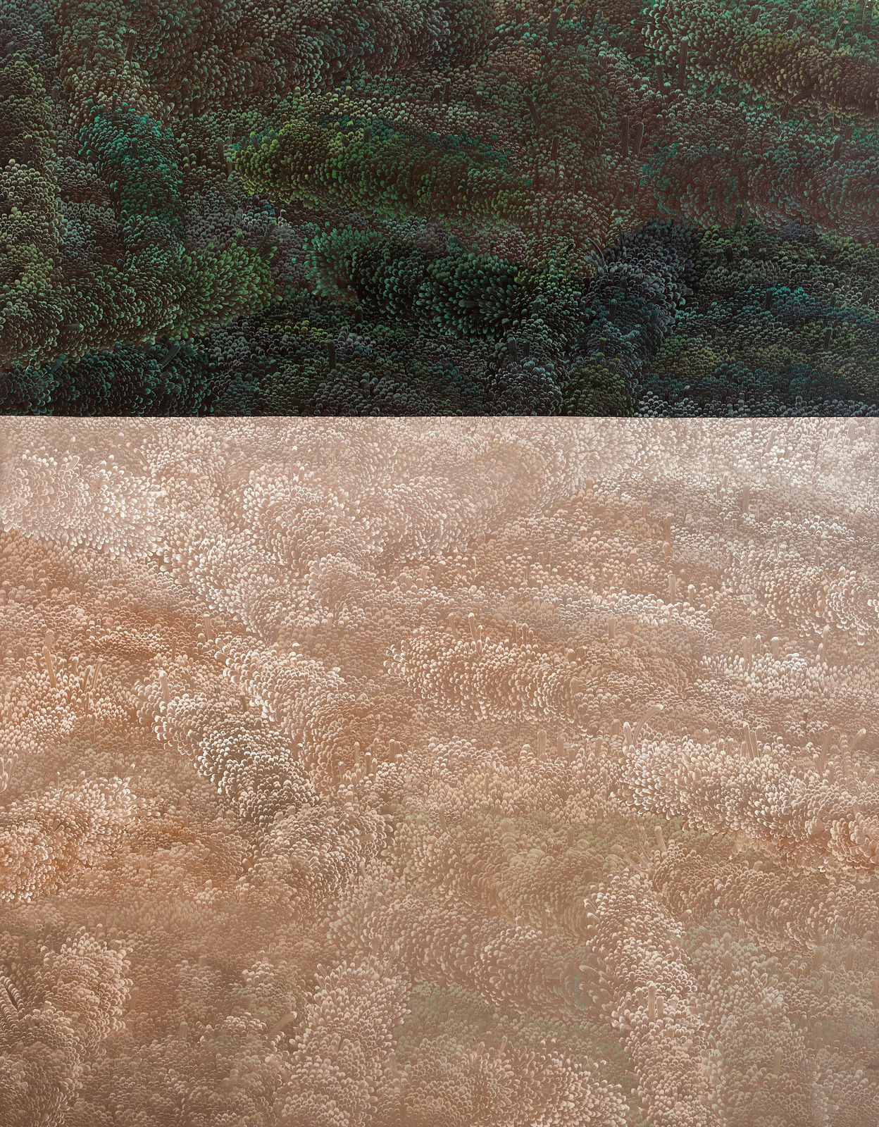 Yamou, A21/24/15, 2024