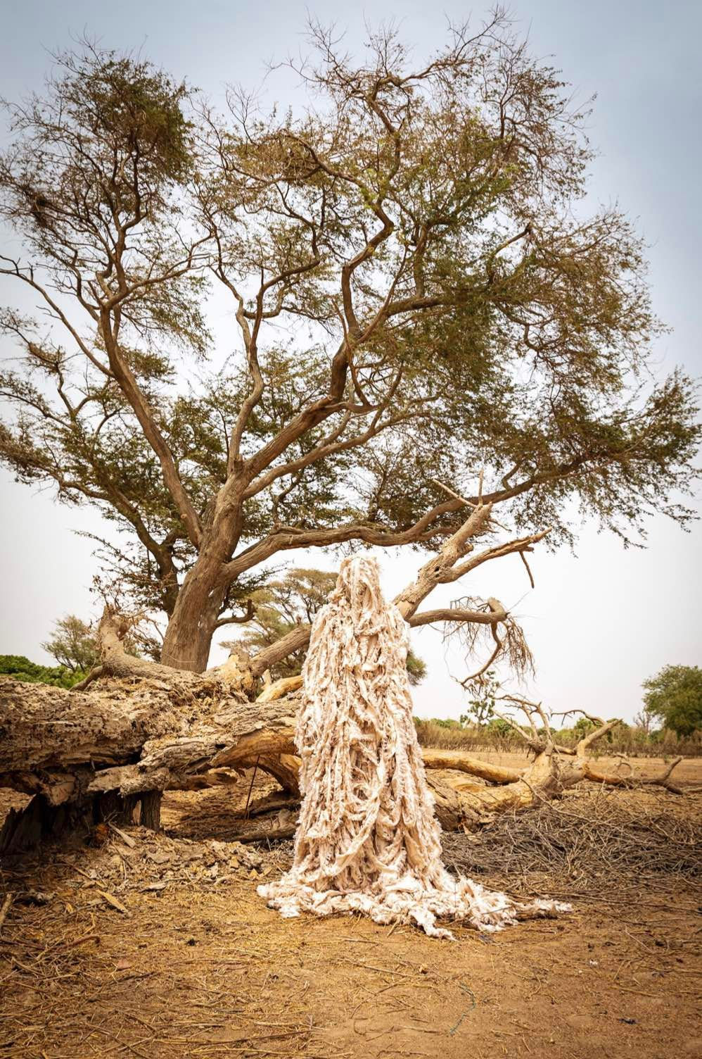 Malick Welli, Anonymu(us) 4, 2021