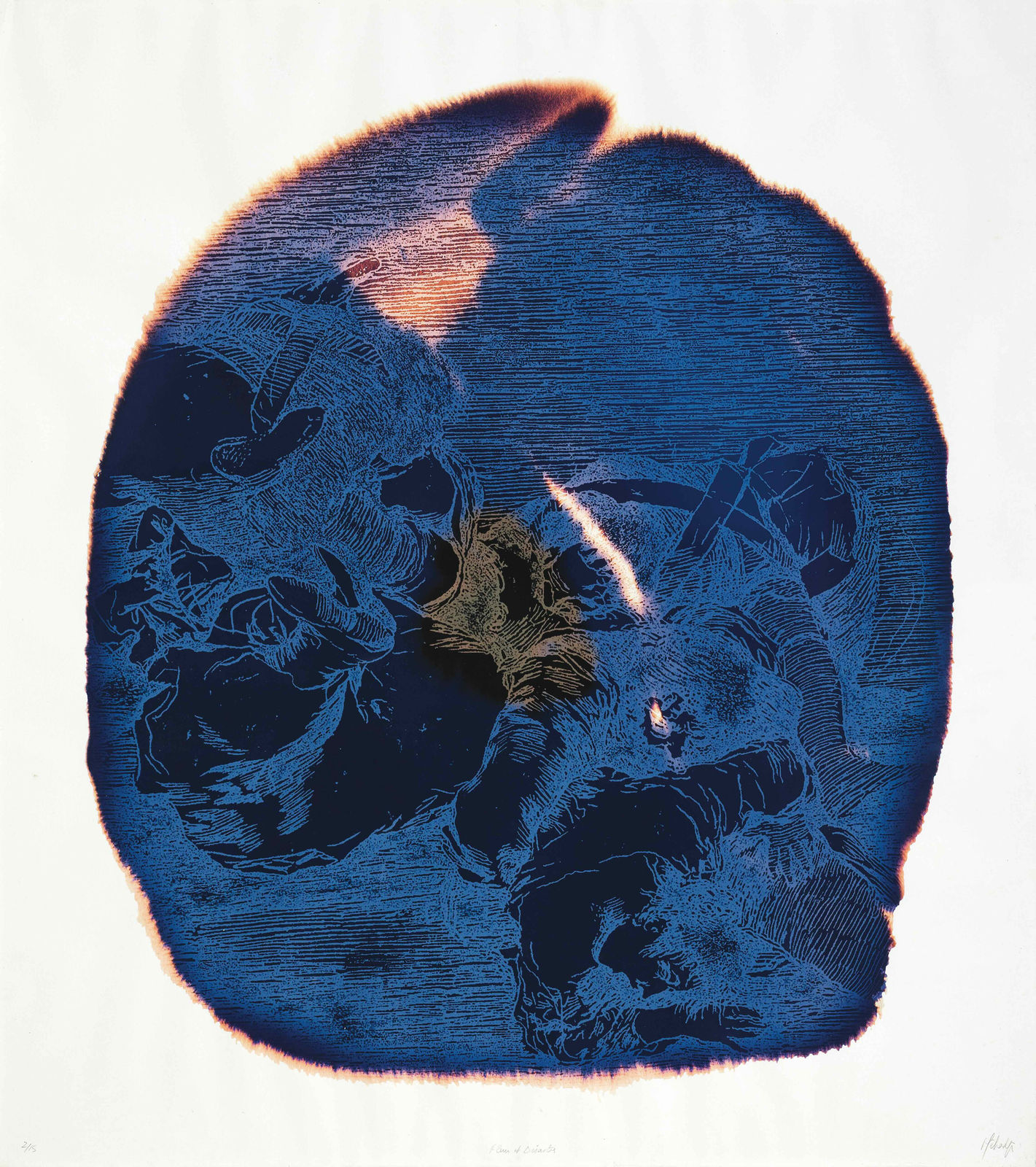 Najia Mehadji, War Flower : Suite Goyesque, Les désastres de la guerre, 2007