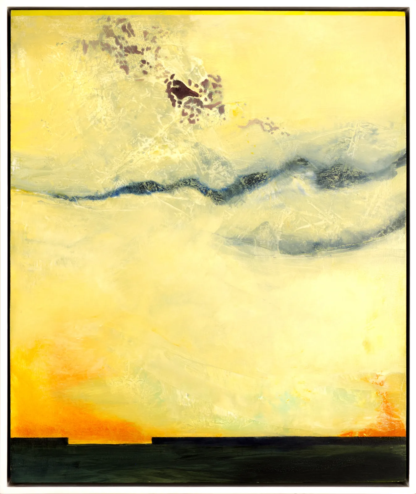 Imogen Rigden, Buttercups Turn Meadows from Green to Gold, May 21st to 25th