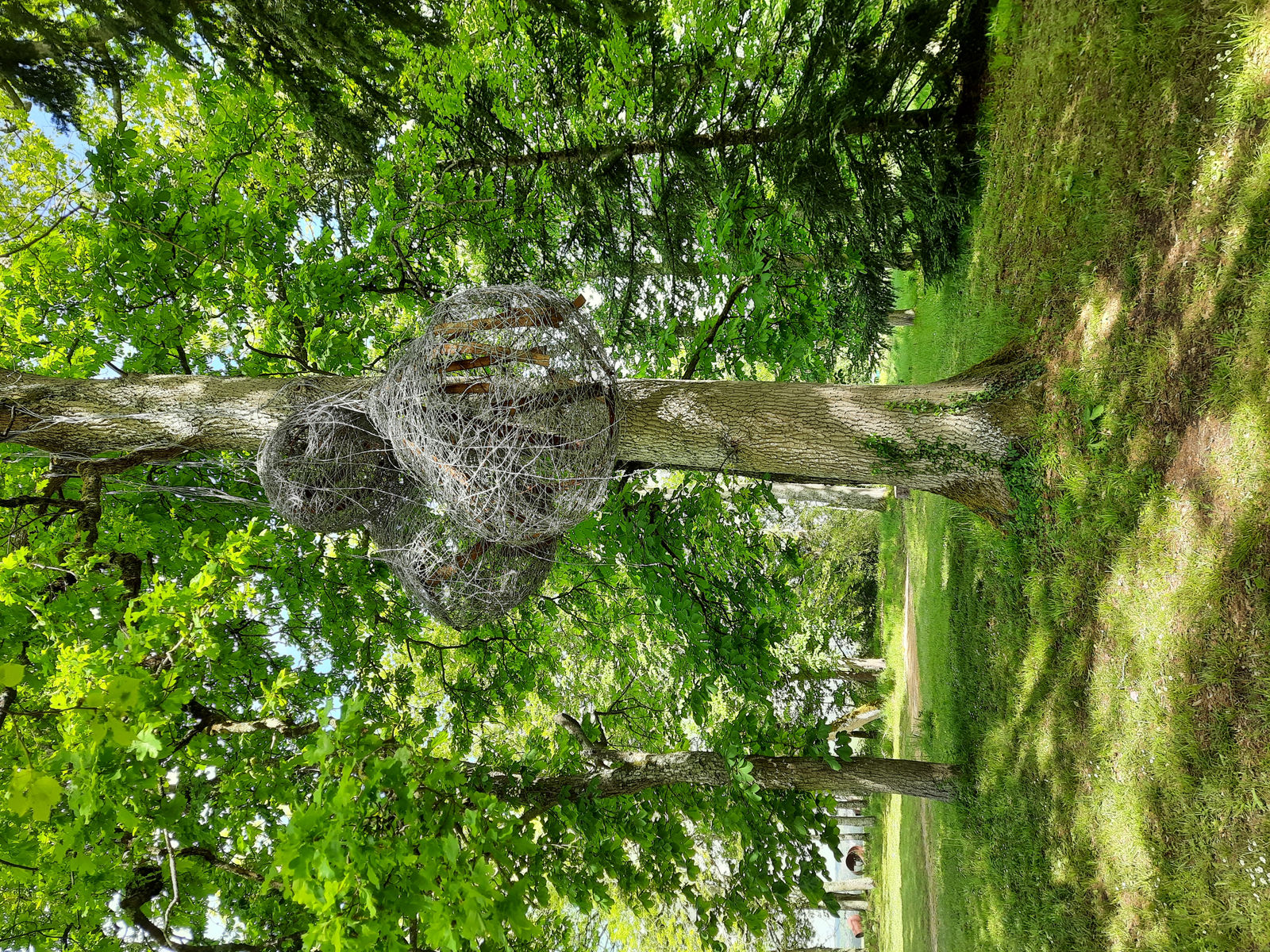 Abdul Rahman Katanani, Renaissance 1, 2021