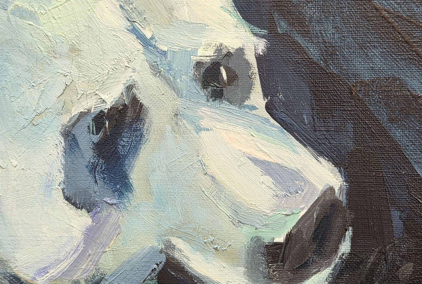 Charles Hascoët, Ours polaire et érable, 2026