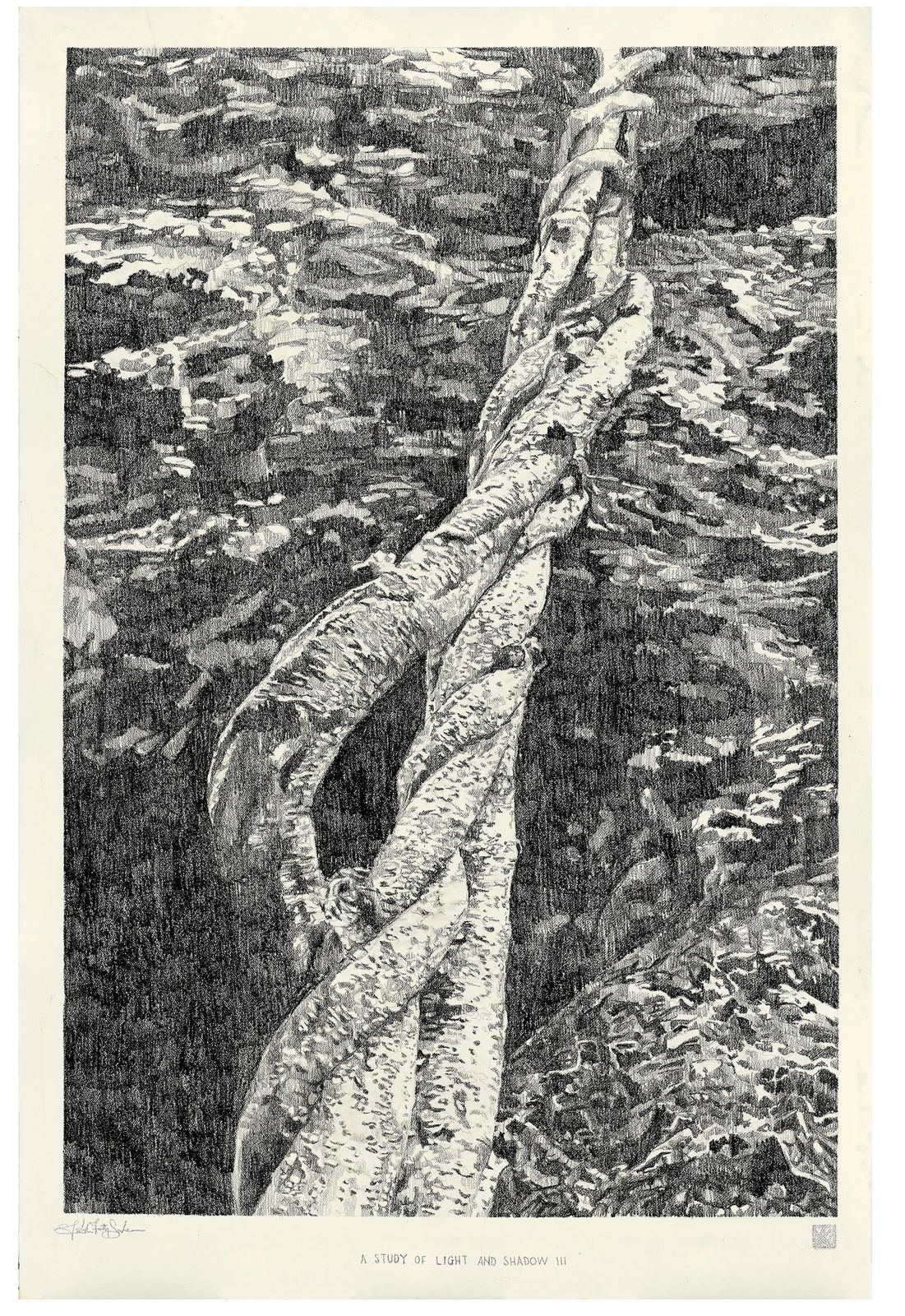 Faith XLVII, A Study of Light and Shadow III, 2022