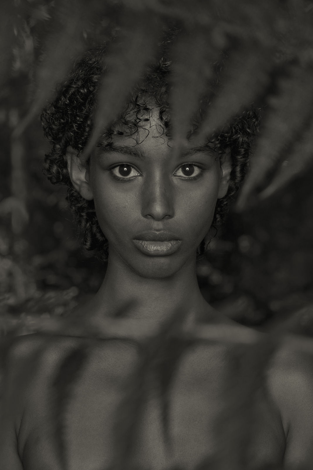 Erwin Olaf, Im Wald Porträt XII, 2020