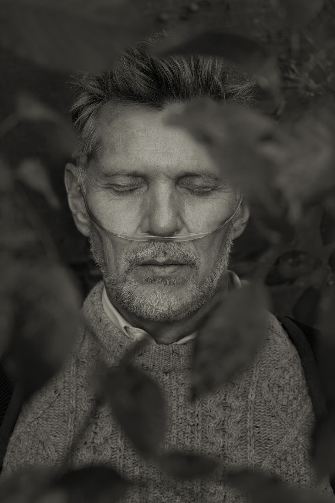 Erwin Olaf, Im Wald Porträt XI A , 2020