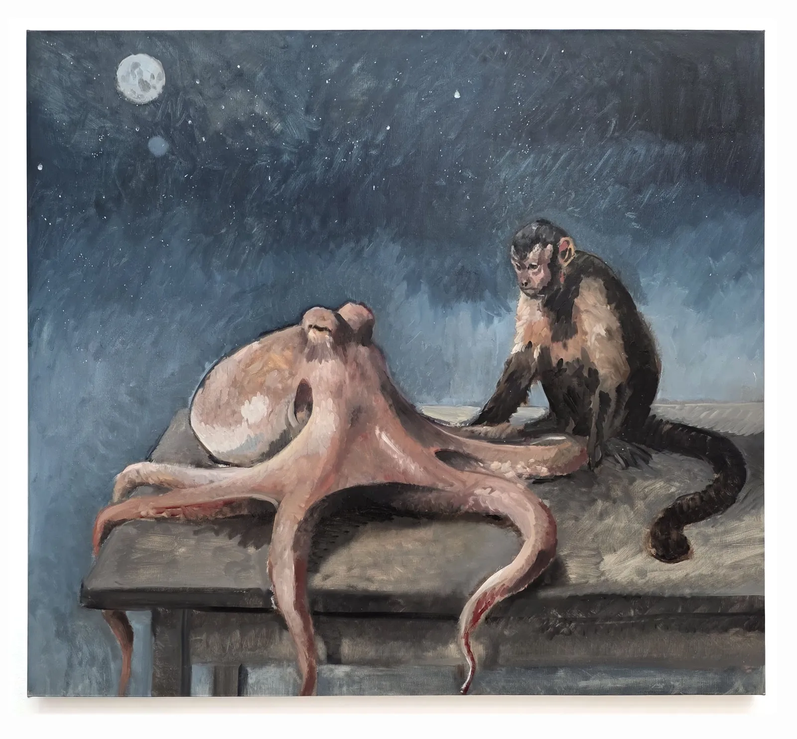 Charles Hascoët, Octo-Monkey, 2026