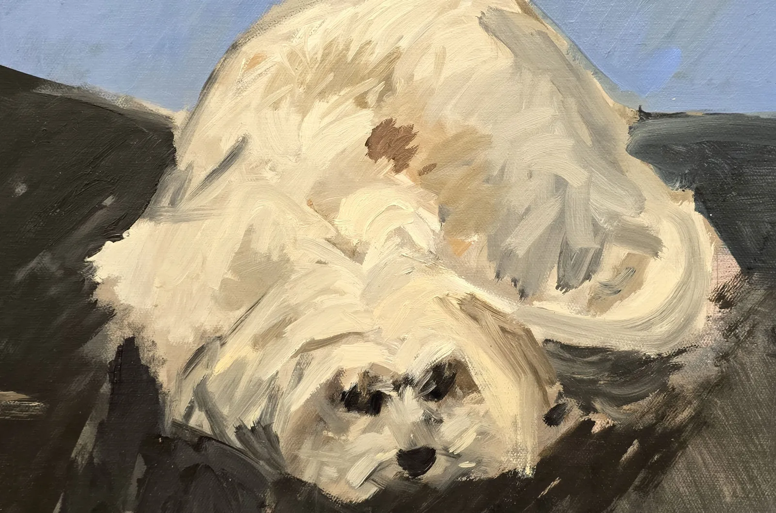 Charles Hascoët, Messenger, 2026