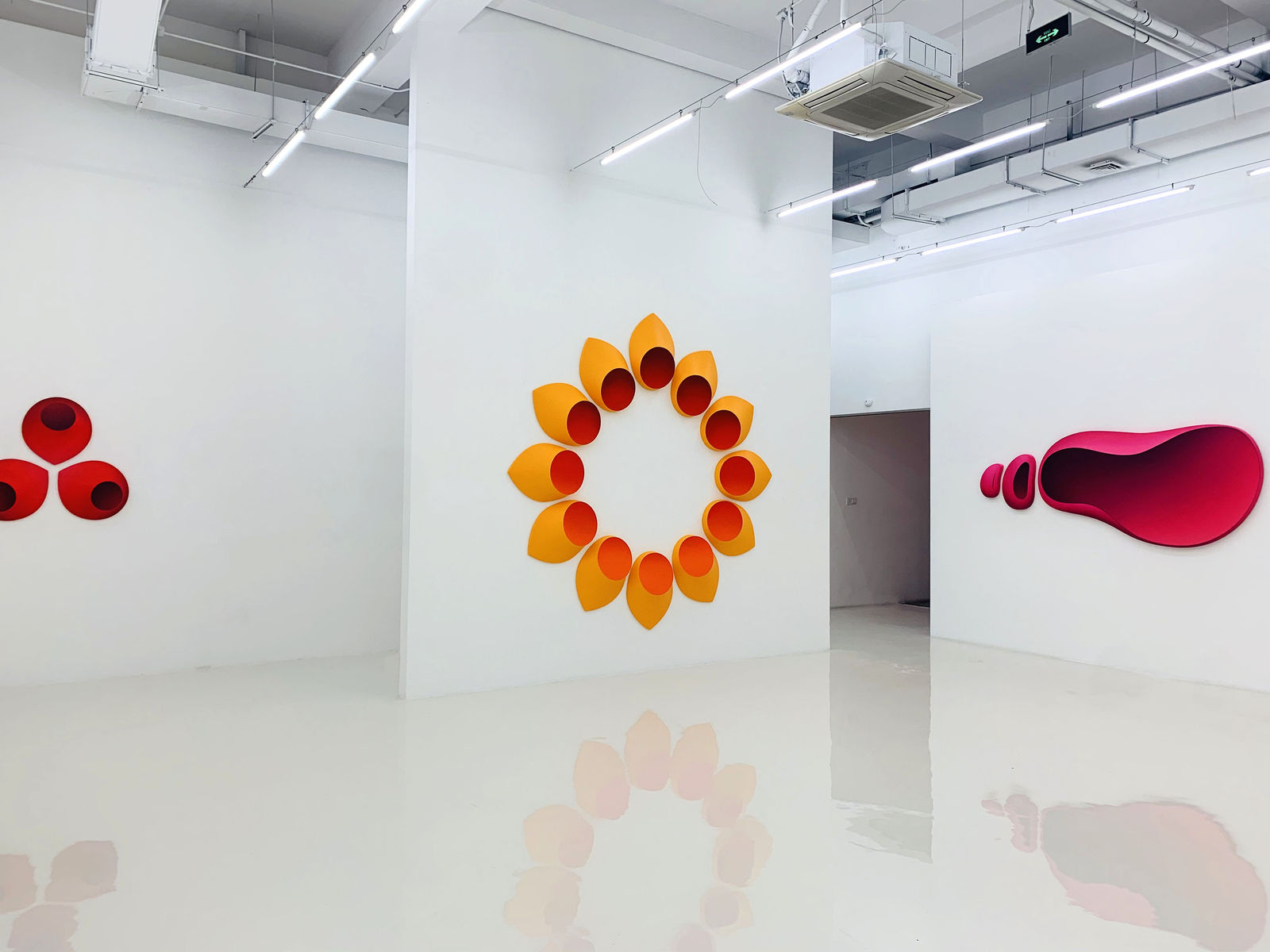 Jan Kalab, Growing Medusa 921, 2021