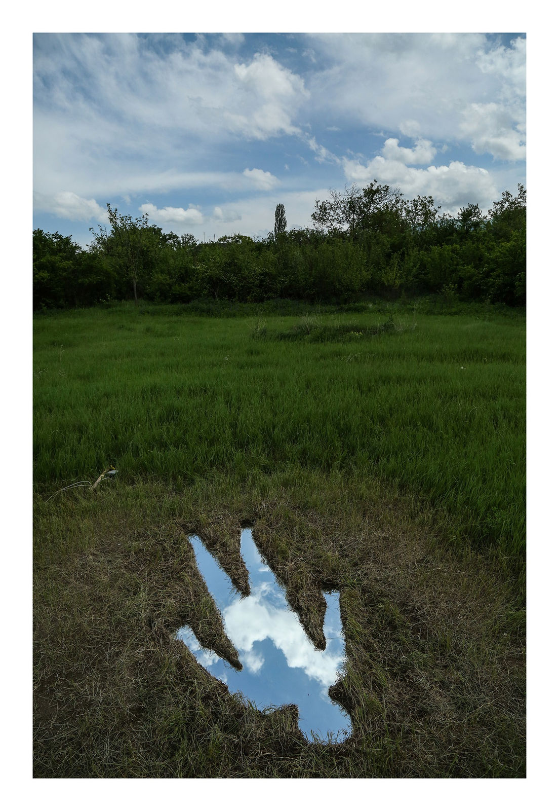 Saman & Sasan Oskouei, Nature's Reflection, 2017