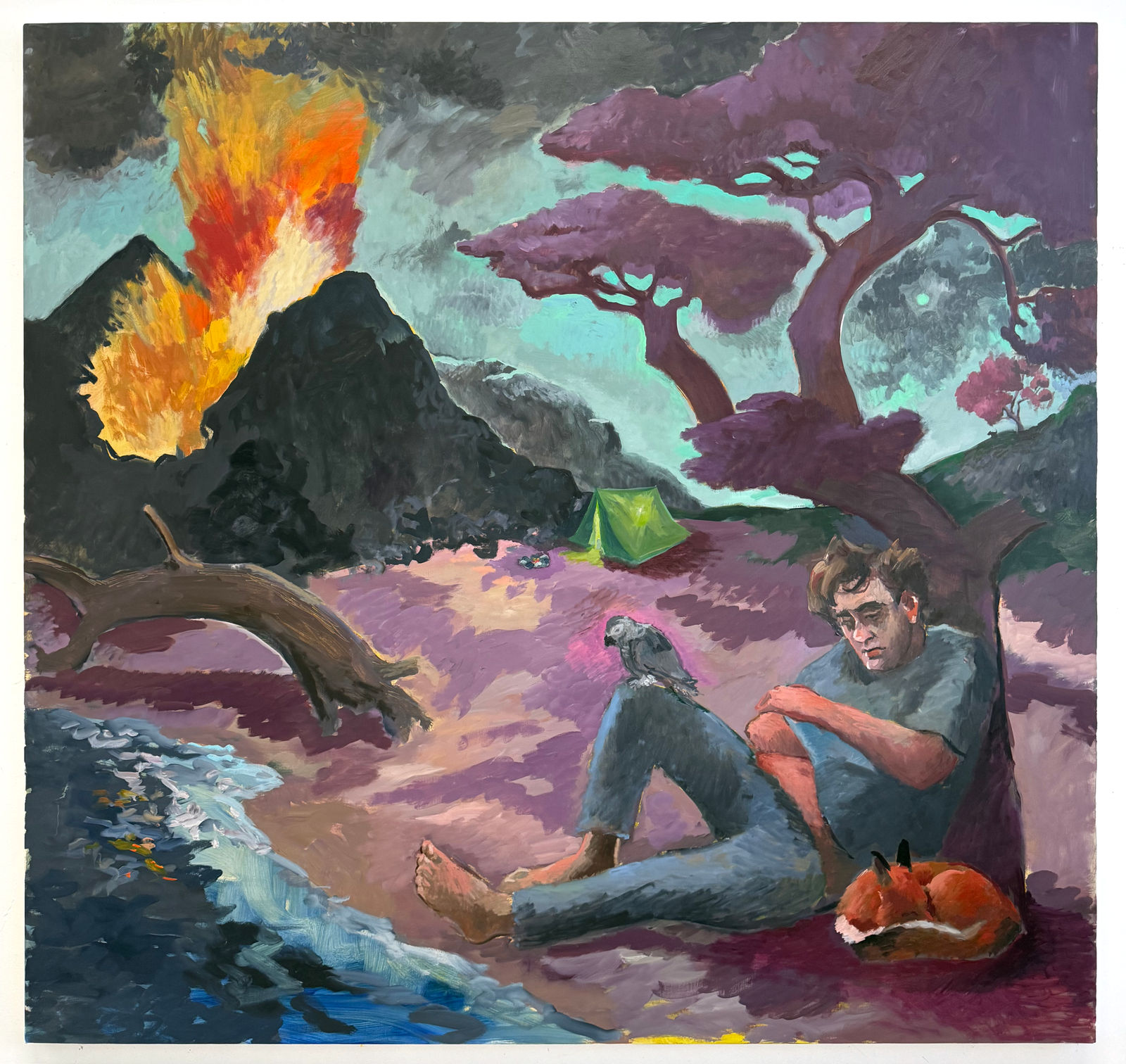 Charles Hascoët, Volcano dream , 2026