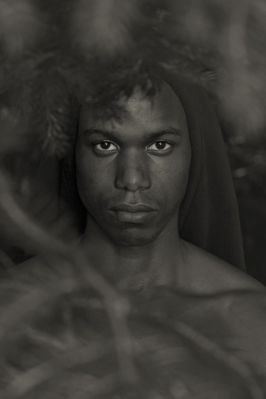 Erwin Olaf, Im Wald Porträt XVI , 2020