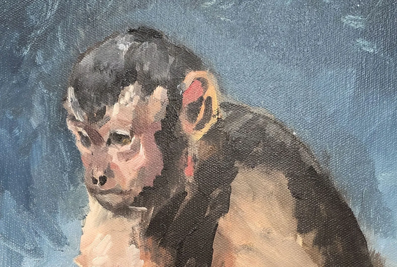 Charles Hascoët, Octo-Monkey, 2026