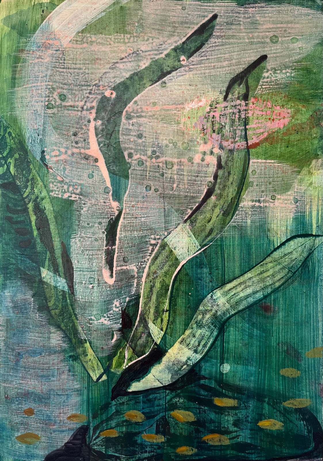 Justine Formentelli, Entrata