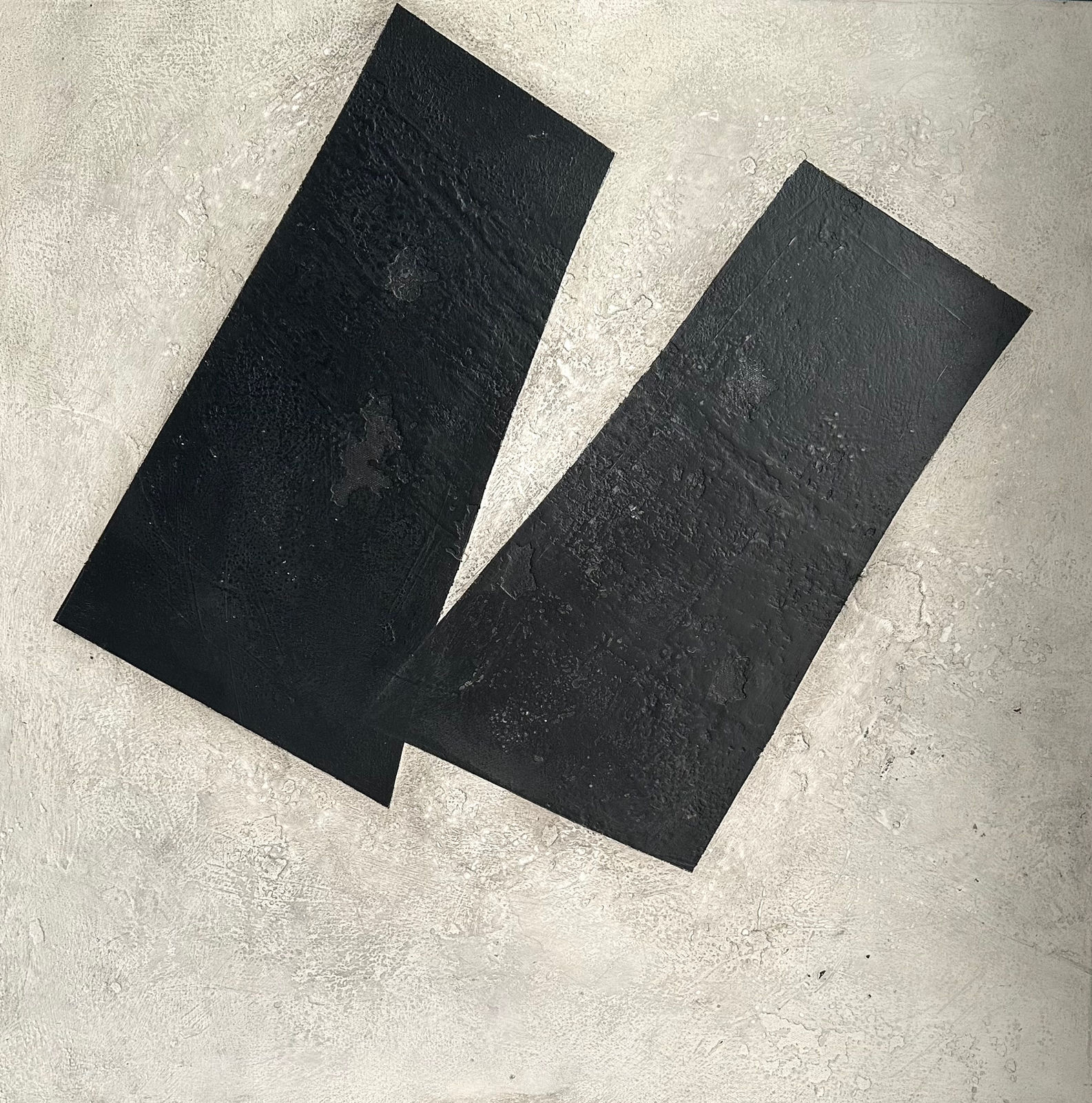 Richard Fox, Two Bird Plane I, 2023