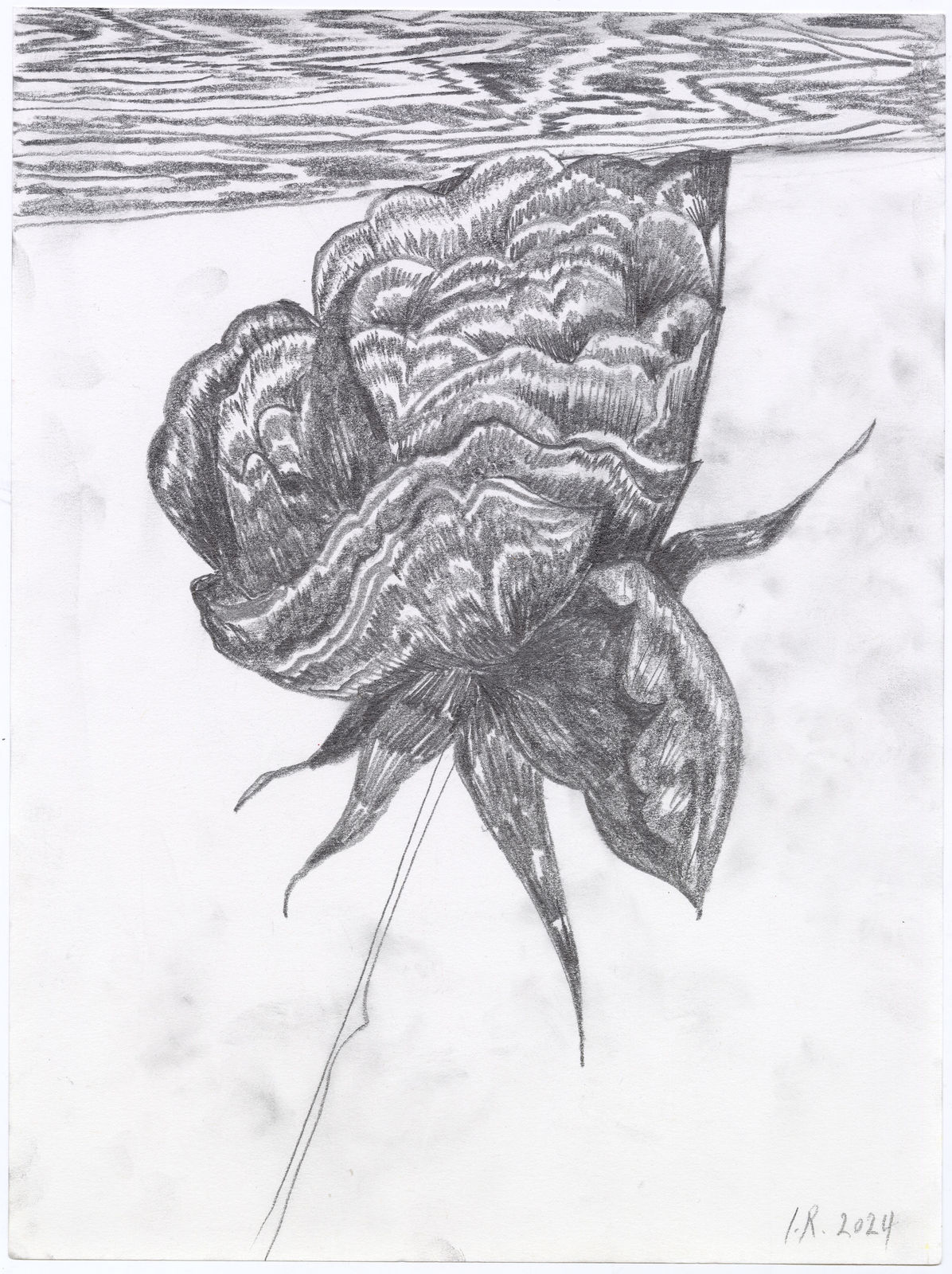 Iman Raad, Untitled, 2024