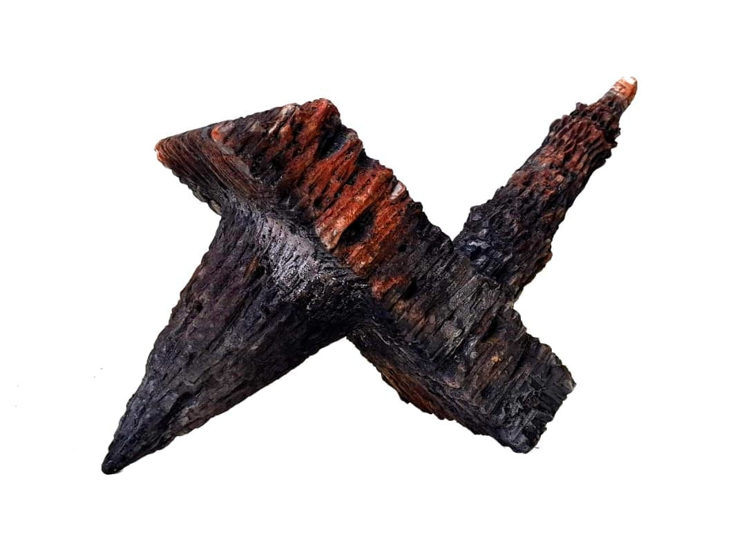 Mohammad Piryaee, Untitled from "Piryaee's lions" series, 2024