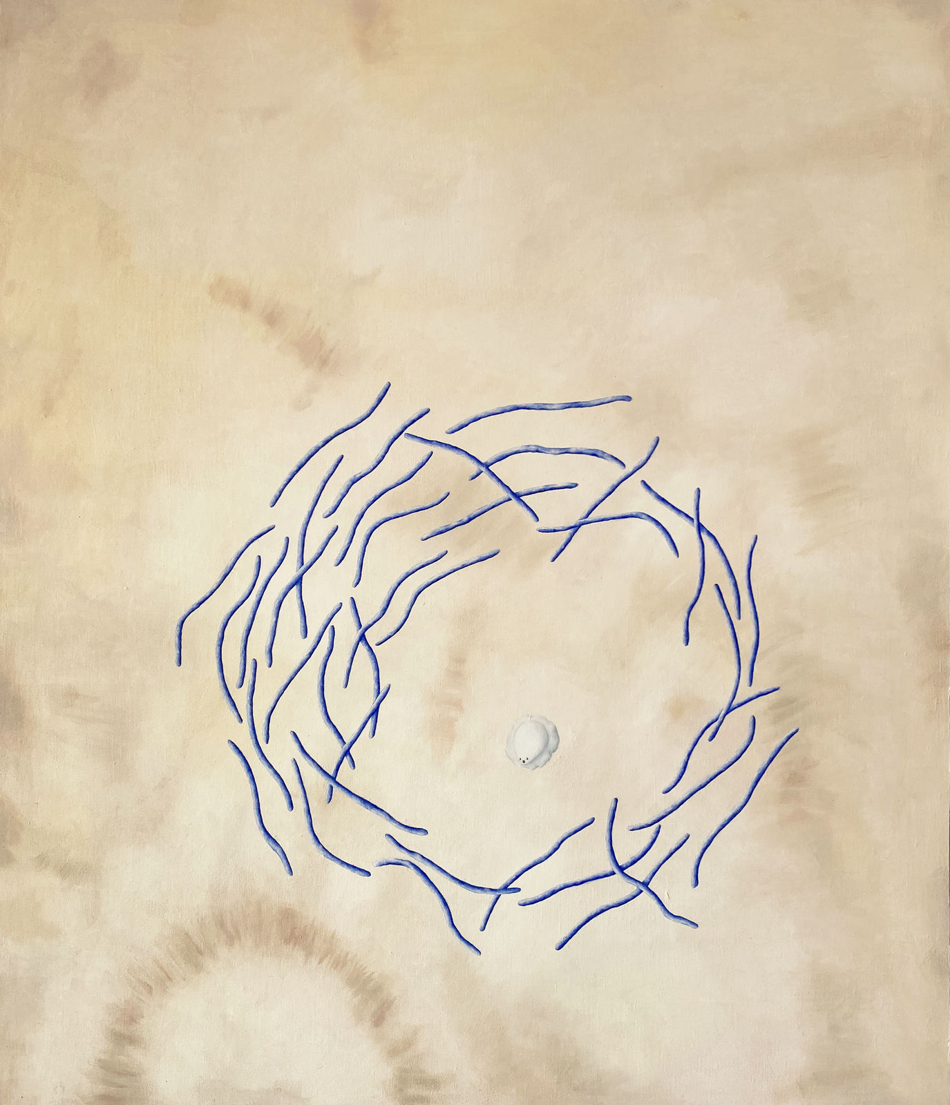 Sina Ghadaksaz, Sweet shield, 2022