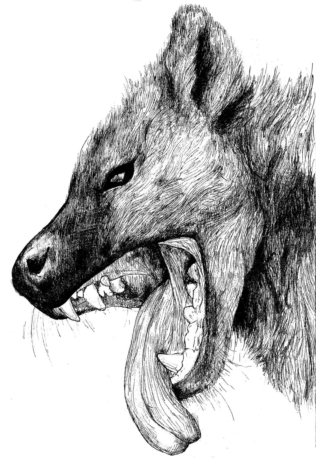 Sina Choopani, Untitled from Sin Series, 2019