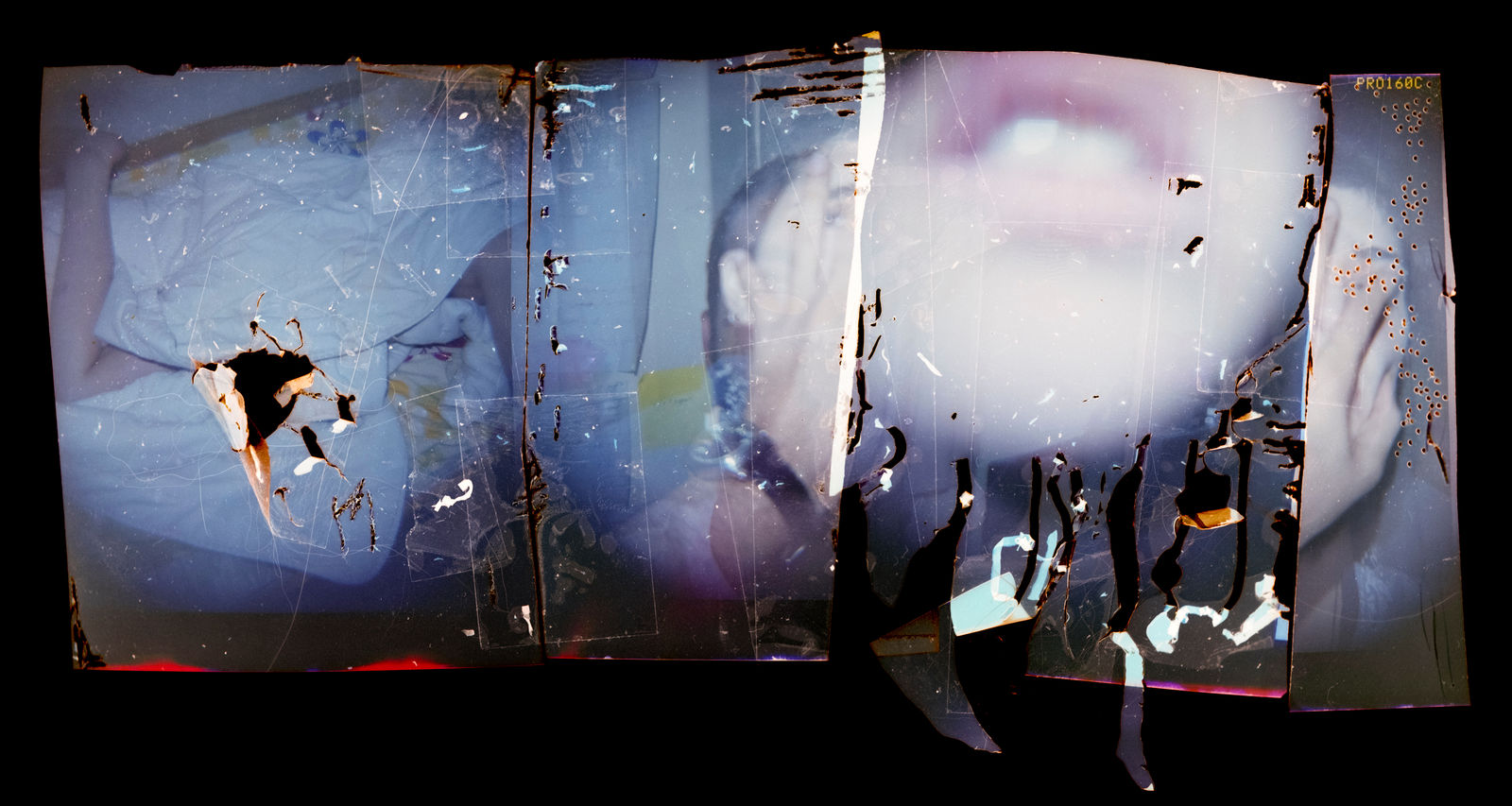 Alborz Kazemi, Untitled, 2022