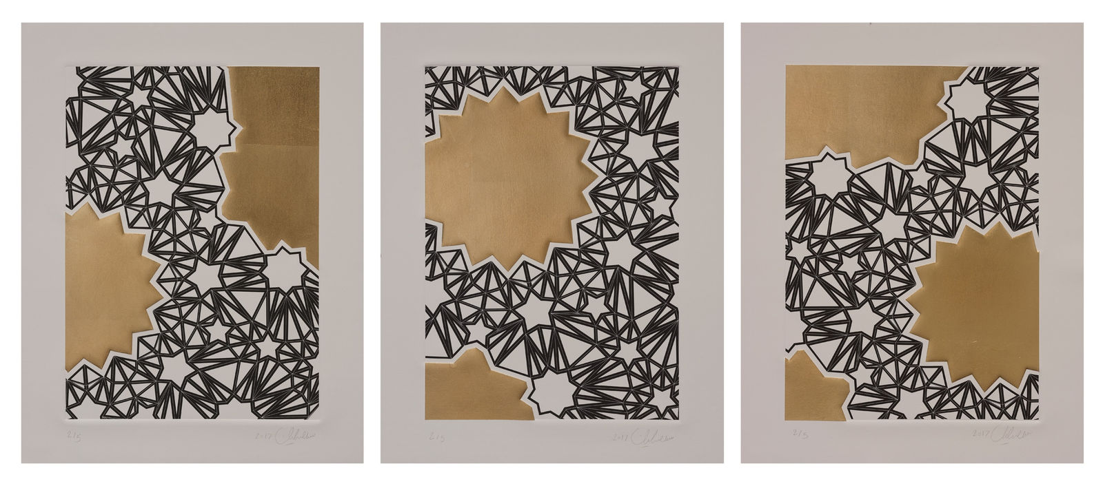 Sahand Hesamiyan, Majaz (Portfolio, Gold Edition), 2017