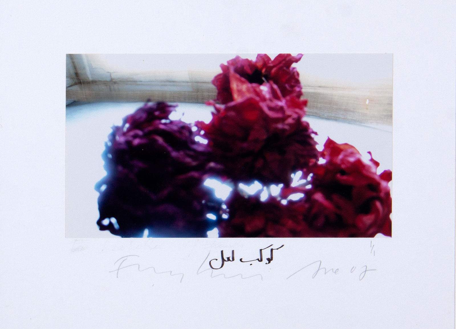 Fereydoun Ave, Untitled, 2018