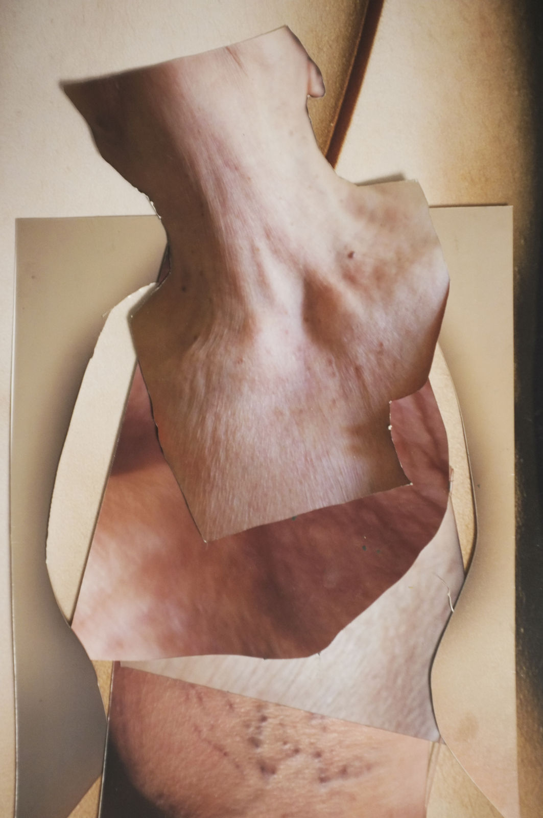 Alborz Kazemi, Untitled, 2018