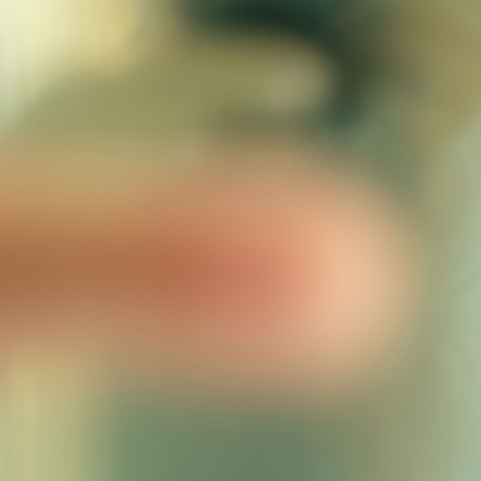 Mehran Mohajer, Untitled, 2023