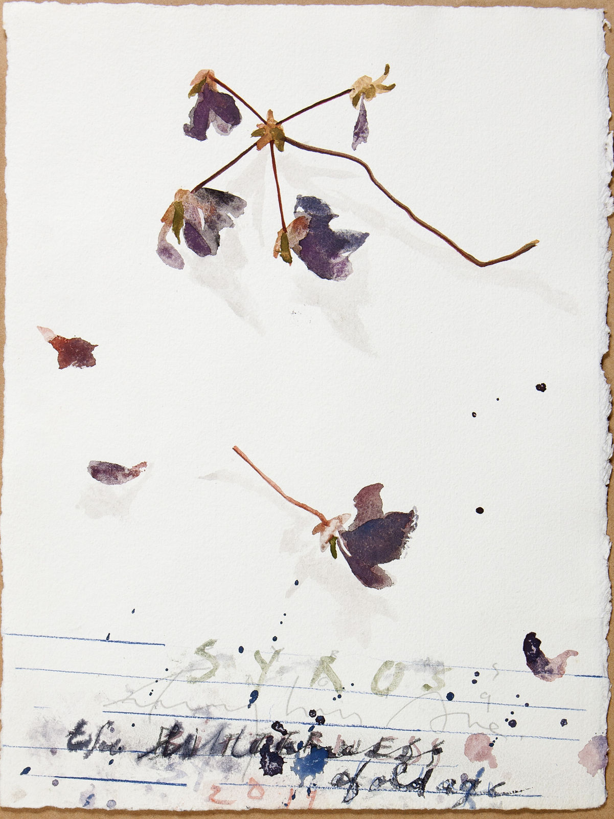 Fereydoun Ave, Untitled, 2019